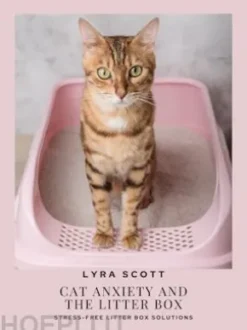 Cat Anxiety and the Litter Box