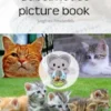 Cats and kittens Bubsimouse picture book