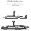 Chassepot-Zündnadelgewehre