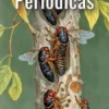 Chicharras Periódicas - El Fenómeno Explicado En Detalle
