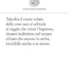 Cicatrici
