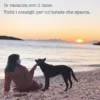#CinoViaggio