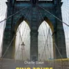 Cinq jours à New York