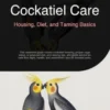 Cockatiel Care: Housing, Diet, and Taming Basics