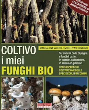 Coltivo i miei funghi bio