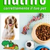 Come Nutrire Correttamente Il Tuo Pet