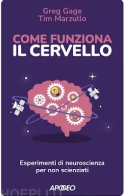 Come funziona il cervello