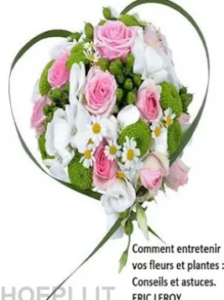 Comment entretenir vos fleurs et plantes :