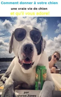 Comment Donner À Votre Chien Une Vraie Vie De Chien