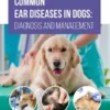 Common Ear Diseases in Dogs: Diagnosis and Management