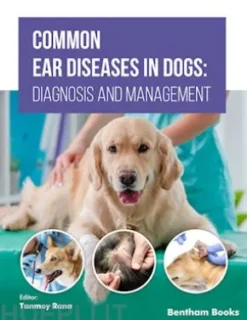 Common Ear Diseases in Dogs: Diagnosis and Management