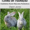 Como Cuidar De Um Coelho De Estimação