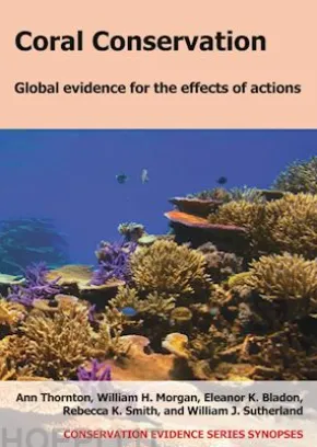 Coral Conservation