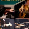 CÍRCULOS ARMÓNICOS