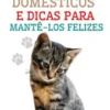 Criação de Gatos Domésticos e Dicas Para Mantê-los Felizes