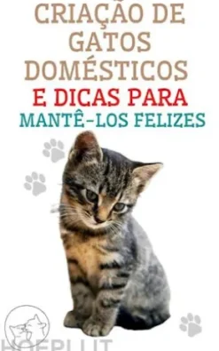 Criação de Gatos Domésticos e Dicas Para Mantê-los Felizes