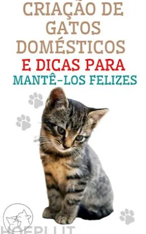 Criação de Gatos Domésticos e Dicas Para Mantê-los Felizes