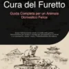 Cura del Furetto: Guida Completa per un Animale Domestico Felice