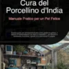 Cura del Porcellino d'India: Manuale Pratico per un Pet Felice
