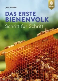 Das erste Bienenvolk – Schritt für Schritt