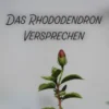 Das Rhododendron Versprechen