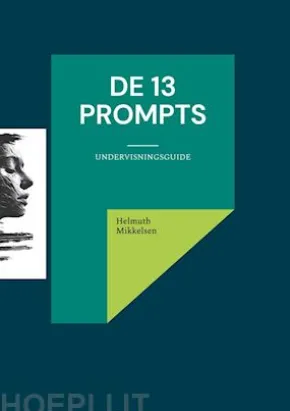 De 13 prompts