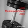 Dein Muskelwachstum ABC