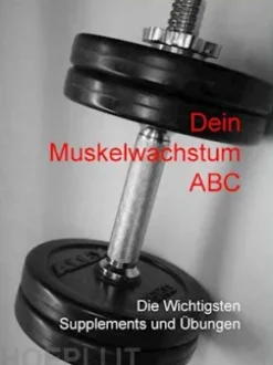 Dein Muskelwachstum ABC