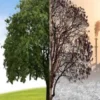Demain, l'écologie ou non !