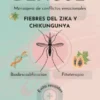 Dengue: Mensajero De Conflictos Emocionales