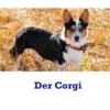 Der Corgi