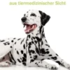 Der Dalmatiner aus tiermedizinischer Sicht