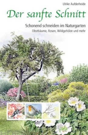Der sanfte Schnitt