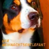 DerWeihnachtsentlefant
