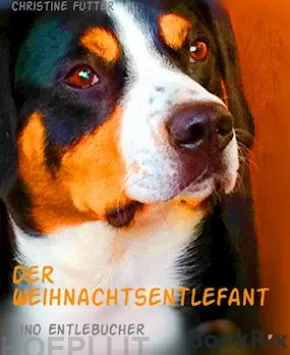 DerWeihnachtsentlefant