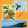 Destination Antilles
