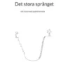 Det stora språnget