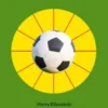 Die 12 Spielfelder des Fußballs