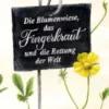 Die Blumenwiese, das Fingerkraut und die Rettung der Welt