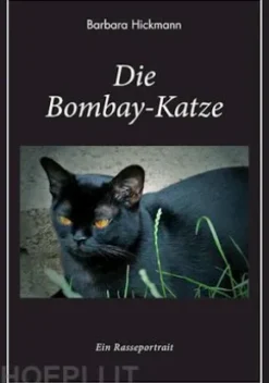 Die Bombay-Katze