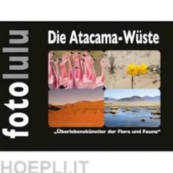 Die Atacama-Wüste