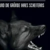 Die Erziehung verhaltensauffälliger Hunde