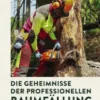 Die Geheimnisse der professionellen Baumfällung