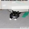 Die Geschichte von Socke