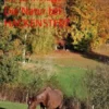 Die Natur bei HACKENSTEDT