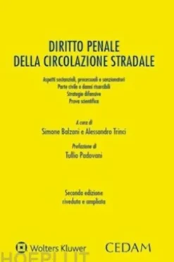 Diritto penale della circolazione stradale