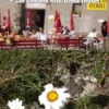 Discover San-Bernardino-Pass