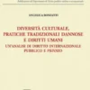 Diversità culturale, pratiche tradizionali dannose e diritti umani - e-Book