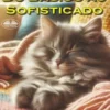 Do Básico Ao Sofisticado
