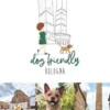Dog friendly Bologna